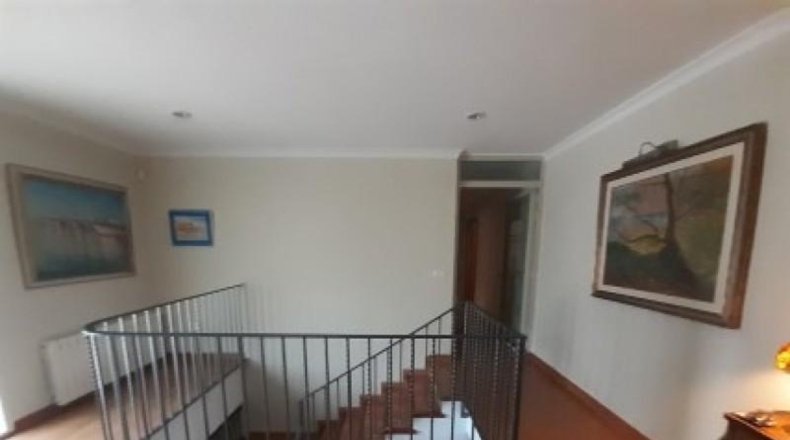 Alicante - Monóvar - 11000m2