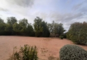 Chalet independiente con terreno en venta en la España, Monóvar, ref: TR146060 foto