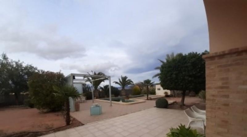 Alicante - Monóvar - 11000m2