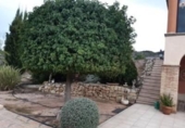 Chalet independiente con terreno en venta en la España, Monóvar, ref: TR146060 foto
