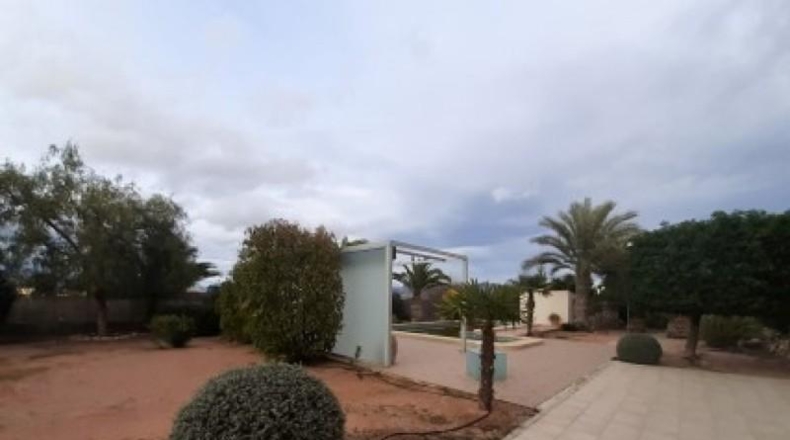 Alicante - Monóvar - 11000m2