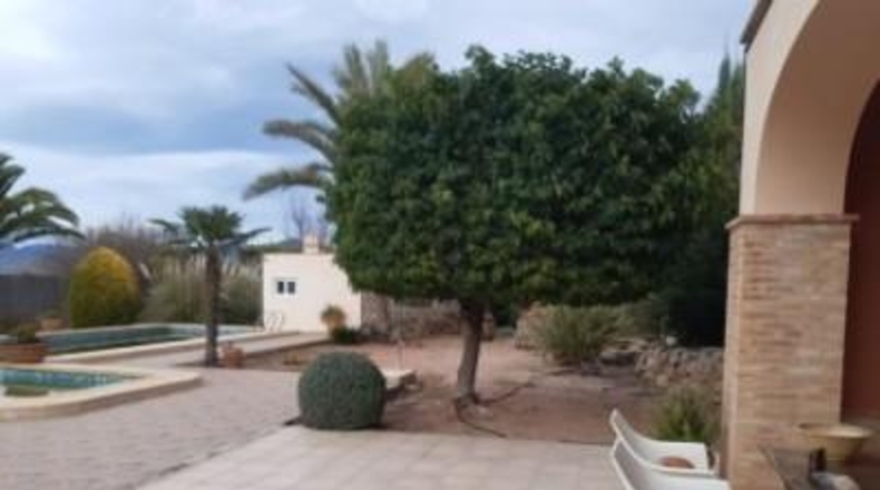 Alicante - Monóvar - 11000m2