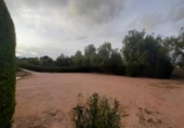 Chalet independiente con terreno en venta en la España, Monóvar, ref: TR146060 foto