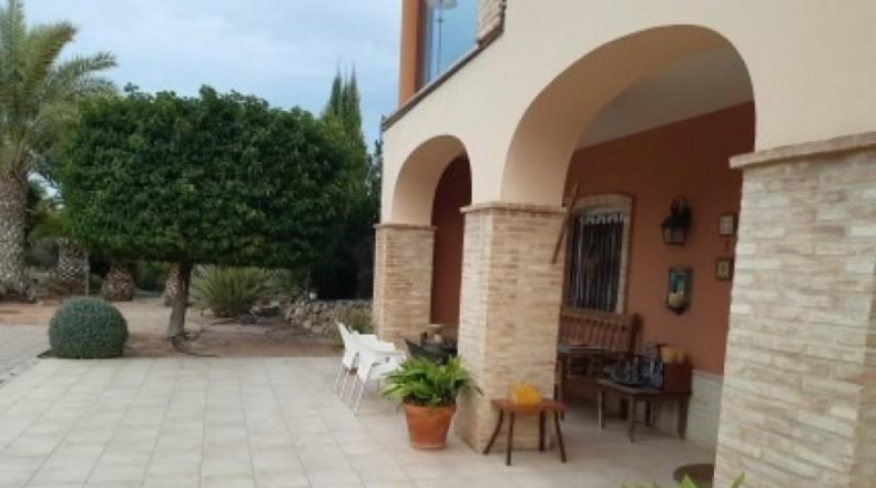 Alicante - Monóvar - 11000m2