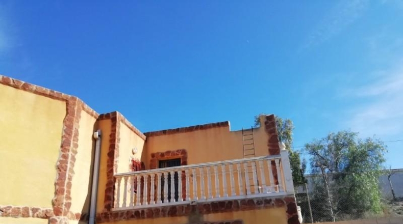 Alicante - Monóvar - 40000m2