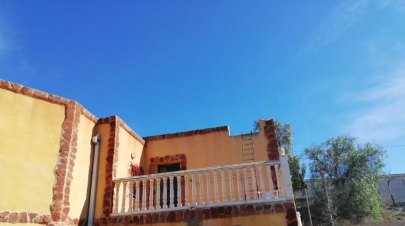 Alicante - Monóvar - 40000m2