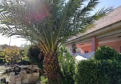 Chalet independiente con terreno en venta en la España, Monóvar, ref: TR146061 foto