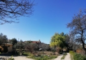 Chalet independiente con terreno en venta en la España, Monóvar, ref: TR146061 foto