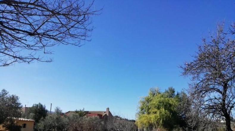 Alicante - Monóvar - 40000m2