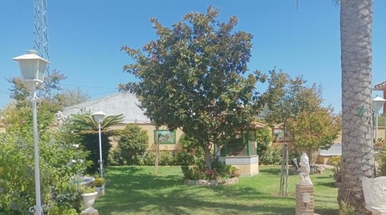 Córdoba - Córdoba - 1375m2