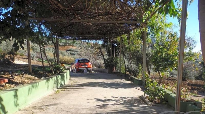 Málaga - Periana - 20000m2
