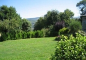 Finca rústica en venda a la España, Becerreá, ref.: TR294128 foto