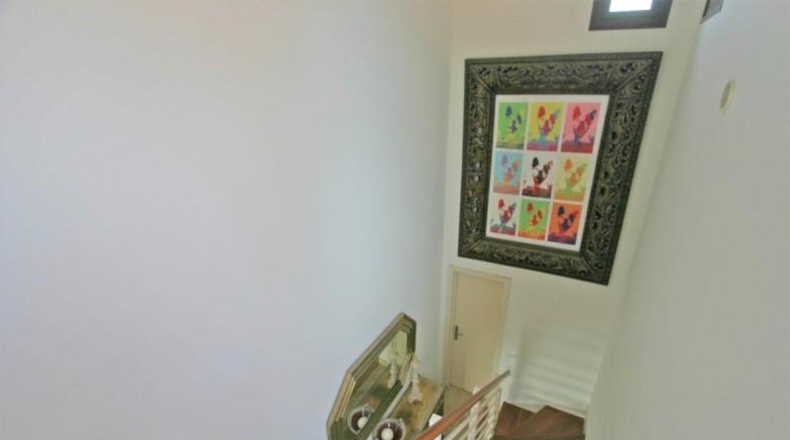 Santa Cruz de Tenerife - San Miguel de Abona - 450m2