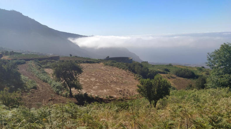 Santa Cruz de Tenerife - Las Llanadas - 106000m2