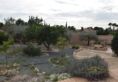 Xalet independent amb terreny en venda a la España, Mutxamel, ref.: TR138365 foto