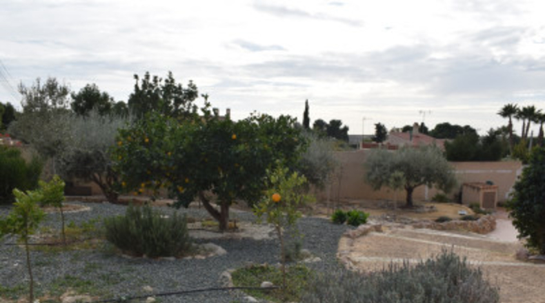 Alicante - Muchamiel - 1199m2