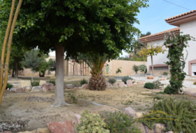 Foto 12