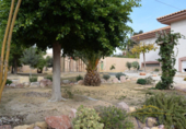 Xalet independent amb terreny en venda a la España, Mutxamel, ref.: TR138365 foto