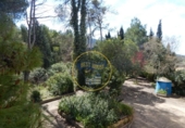 Chalet independiente con terreno en venta en la España, Bocairent, ref: TR138591 foto