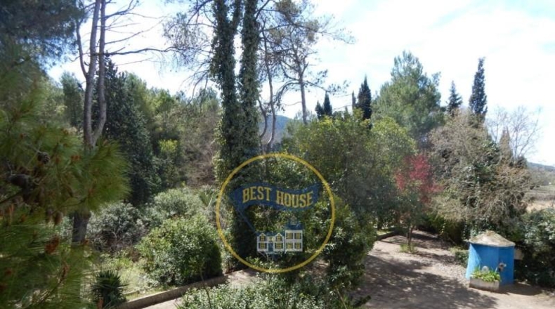 Valencia - Bocairente - 6180m2