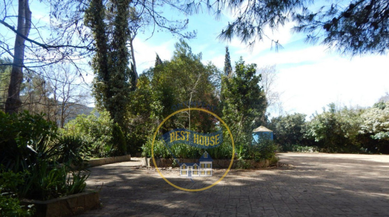 Valencia - Bocairente - 6180m2