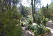 Chalet independiente con terreno en venta en la España, Bocairent, ref: TR138591 foto