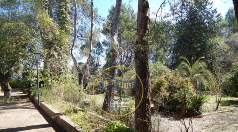 Valencia - Bocairente - 6180m2