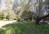 Chalet independiente con terreno en venta en la España, Bocairent, ref: TR138591 foto