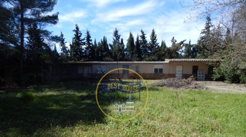 Valencia - Bocairente - 6180m2