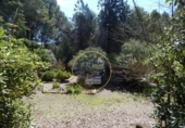 Chalet independiente con terreno en venta en la España, Bocairent, ref: TR138591 foto
