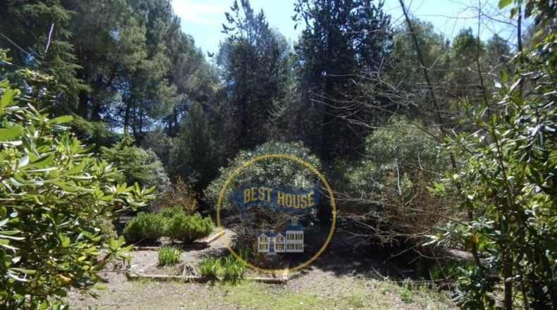 Valencia - Bocairente - 6180m2