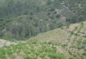 Chalet independiente con terreno en venta en la España, Lorca, ref: TR142124 foto
