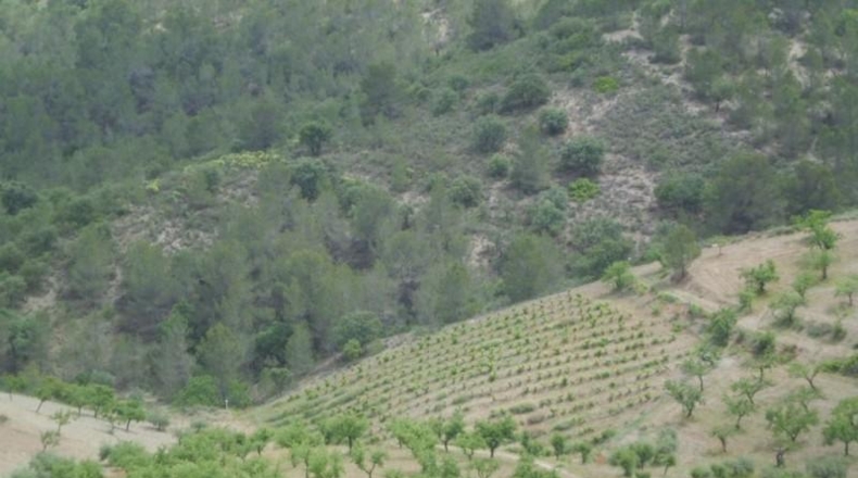 Murcia - Lorca - 500m2