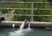 Chalet independiente con terreno en venta en la España, Lorca, ref: TR142124 foto