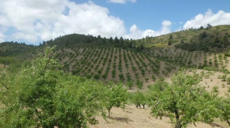 Murcia - Lorca - 500m2