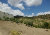 Chalet independiente con terreno en venta en la España, Lorca, ref: TR142124 foto