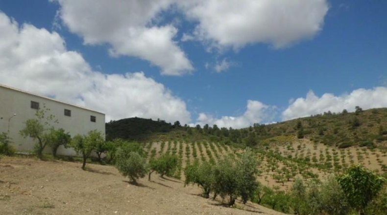 Murcia - Lorca - 500m2
