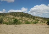 Chalet independiente con terreno en venta en la España, Lorca, ref: TR142124 foto