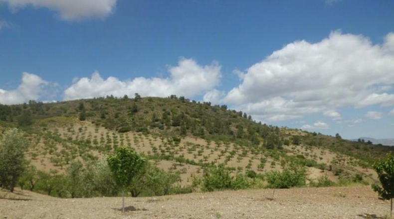 Murcia - Lorca - 500m2