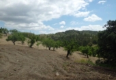 Chalet independiente con terreno en venta en la España, Lorca, ref: TR142124 foto