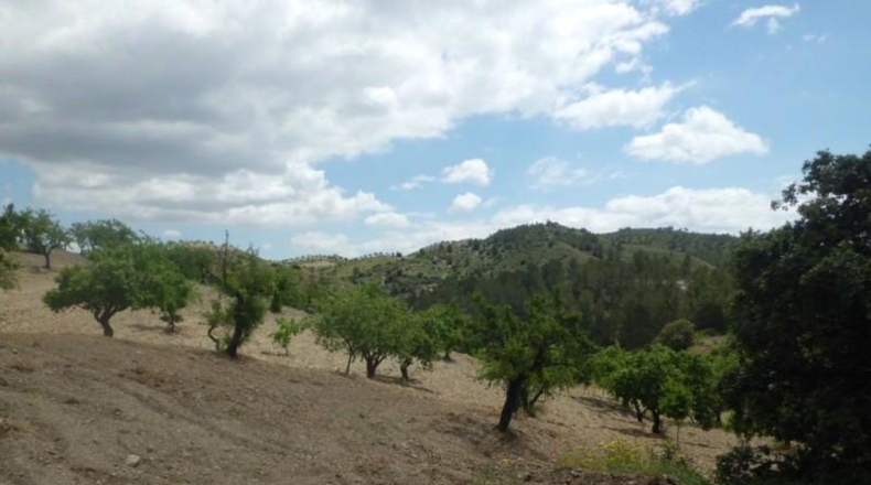 Murcia - Lorca - 500m2