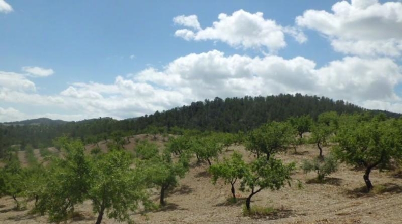 Murcia - Lorca - 500m2
