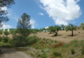 Chalet independiente con terreno en venta en la España, Lorca, ref: TR142124 foto