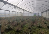 Xalet independent amb terreny en venda a la España, Encinarejo de Córdoba, ref.: TR143295 foto