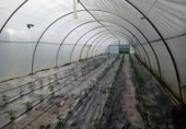 Xalet independent amb terreny en venda a la España, Encinarejo de Córdoba, ref.: TR143295 foto