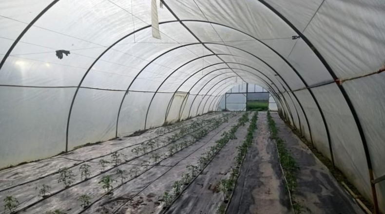 Córdoba - Córdoba - 70m2