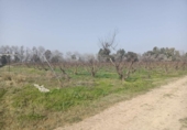 Xalet independent amb terreny en venda a la España, Encinarejo de Córdoba, ref.: TR143295 foto