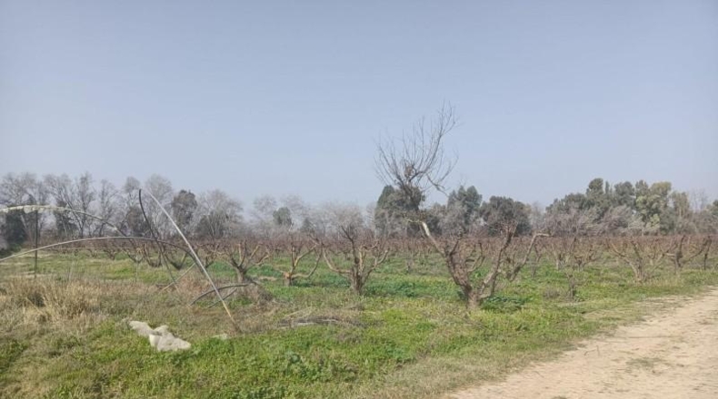 Córdoba - Córdoba - 70m2