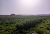 Xalet independent amb terreny en venda a la España, Encinarejo de Córdoba, ref.: TR143295 foto