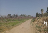 Xalet independent amb terreny en venda a la España, Encinarejo de Córdoba, ref.: TR143295 foto
